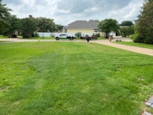 Landscape Maintenance Residential property Alexandria home owner yard