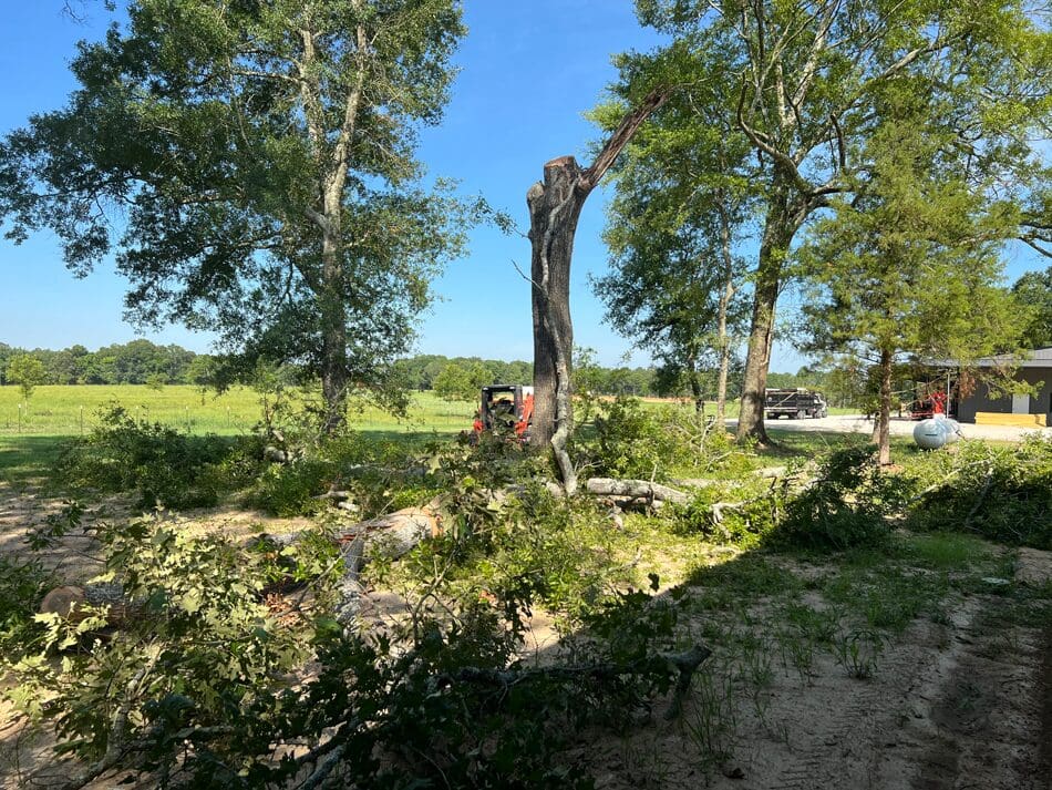 Tree Clearing Storm Preparation near Bunkie, Cheneyville, Lecompte LA