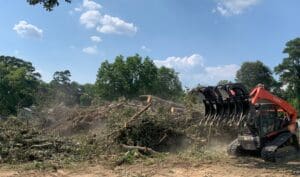 Tree Debris, Removal, Haul Off, & Disposal, near me in Marksville, Hessmer, Fifth Ward