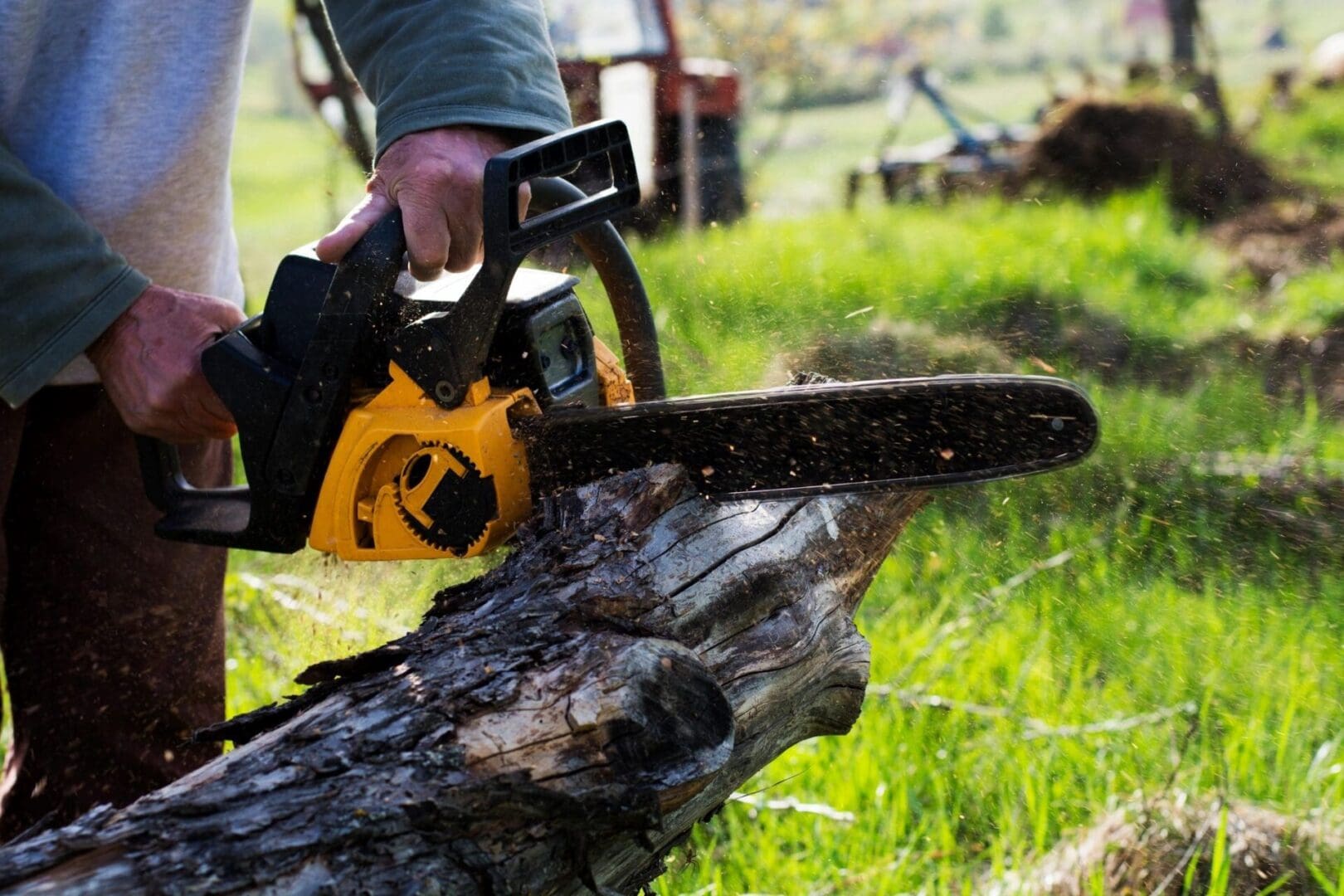 A person is using a chainsaw to cut down a tree.