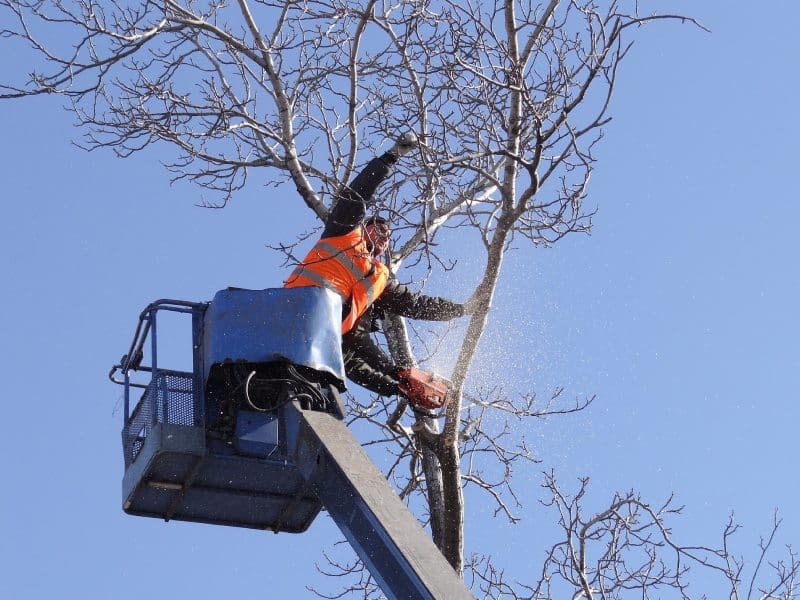 A man in an orange shirt is on the top of a cherry picker.