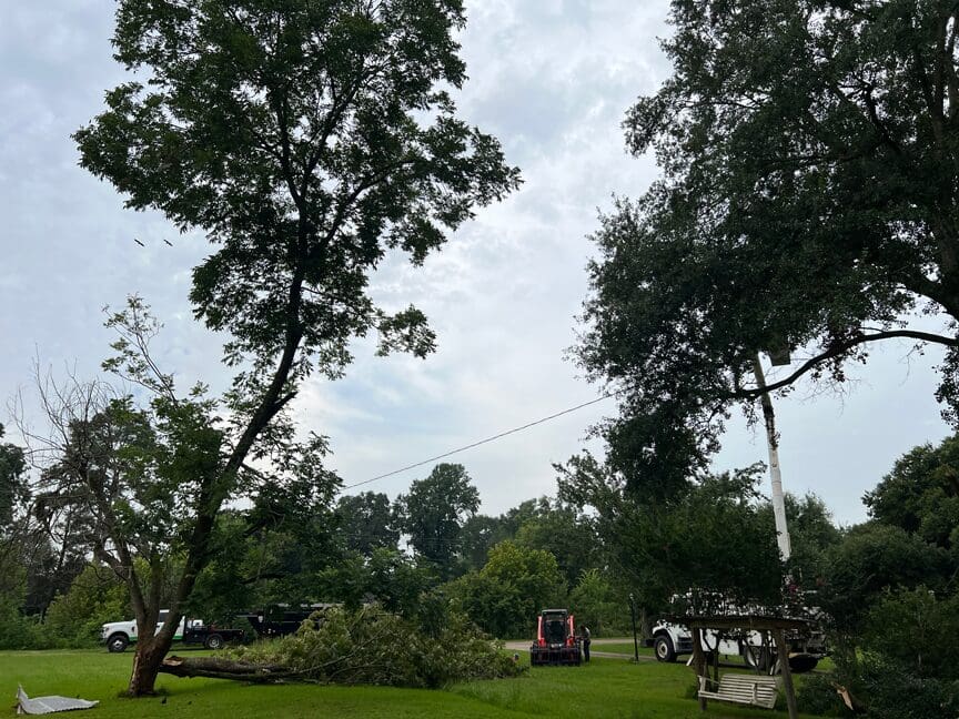 HLA Tree Service Storm Cleanup Tree Fell on power line Tree Limbs