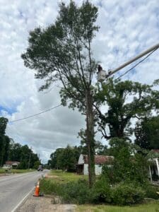 Hazardous Tree Removal Limbs Fell Onto House Roof