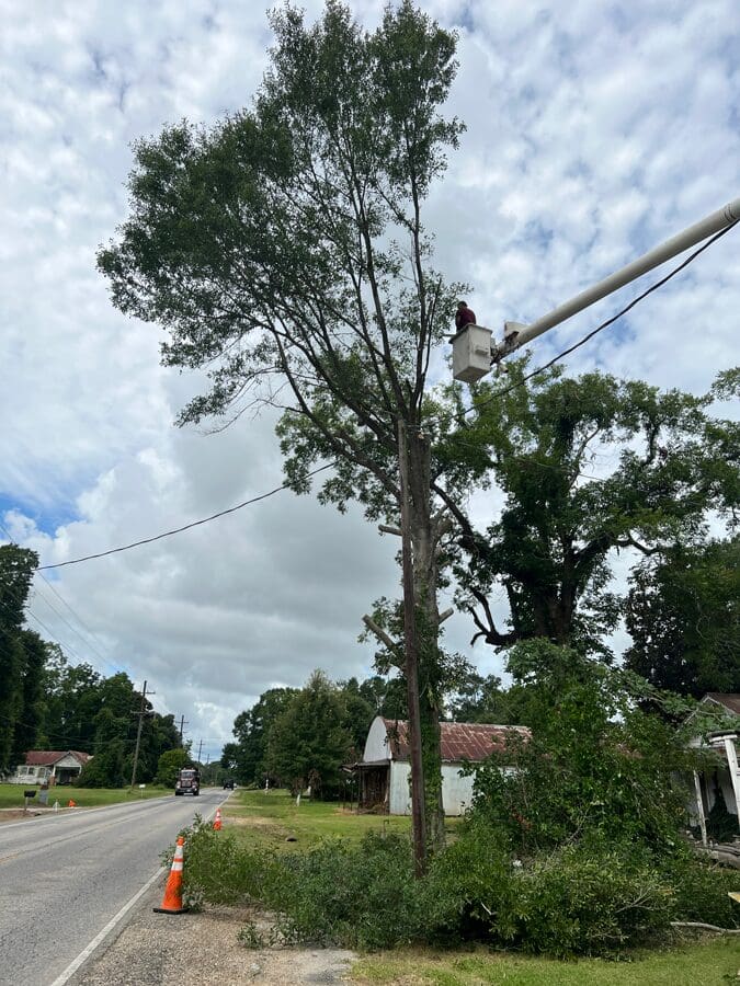 Storm damage tree drops limb on house and power lines Louisiana Hessmer