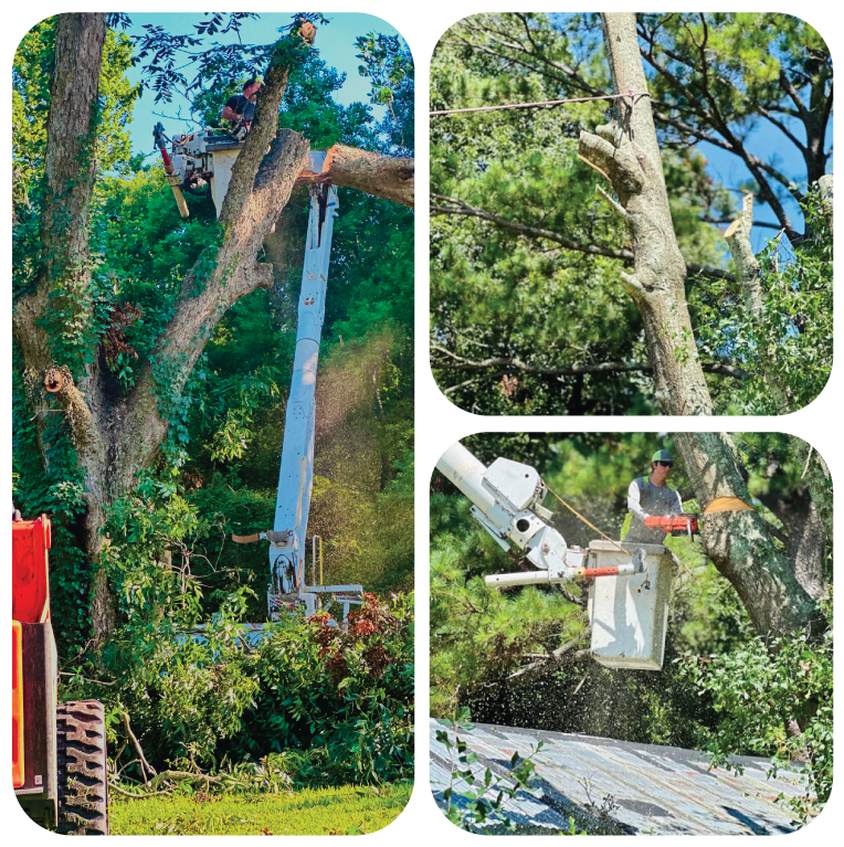 Tree Limb Fell On Barn Roof HLA Lawn Service Tree Debris Removal