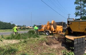 Commercial Tree Removal Service, Stump Removal, From Leesville to Lacombe, Tree Services Louisiana