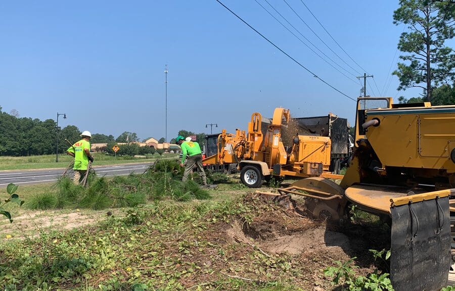 Tree Removal Company, Stump Removal, Stump Grinding