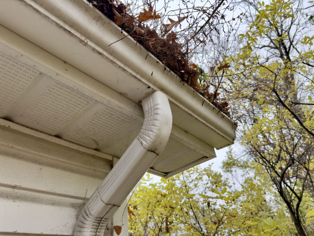 tree branch and leaves on roof in Marksville