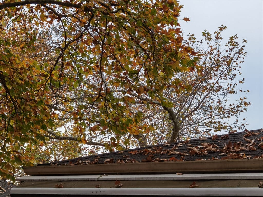 Tree debris and Tree limb over roof in Marksville, call 318Treeman