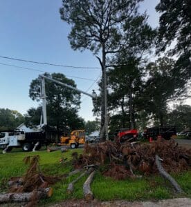 Tornado damaged pine tree nearly fell on house in Pineville Louisiana removed by HLA Tree Services licensed insured arborist CenLA emergency tree removal
