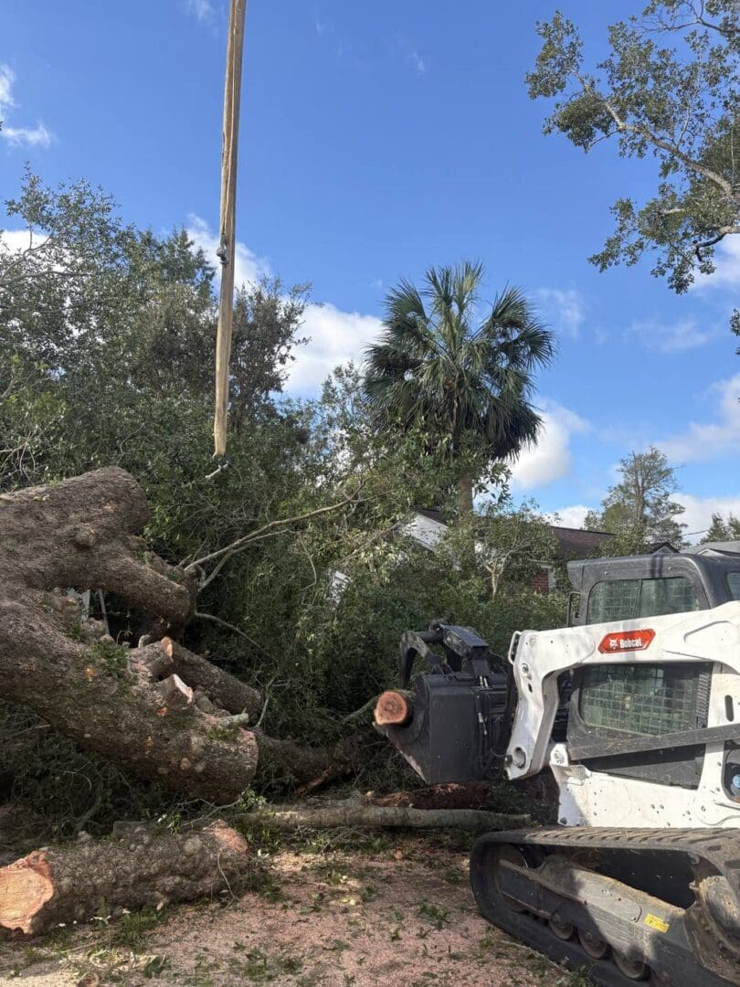 Crane sling lifting oak sections with a skid steer grapple during storm recovery