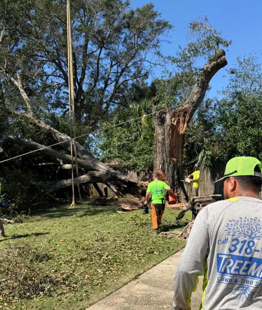 HLA arborist cutting the trunk of a storm-fallen tree during emergency operations in Pensacola, FL